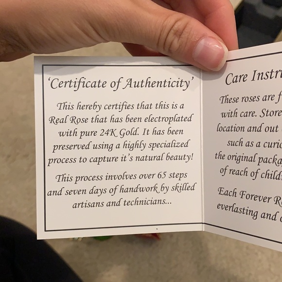 Forever Rose - Picture 7 of 9